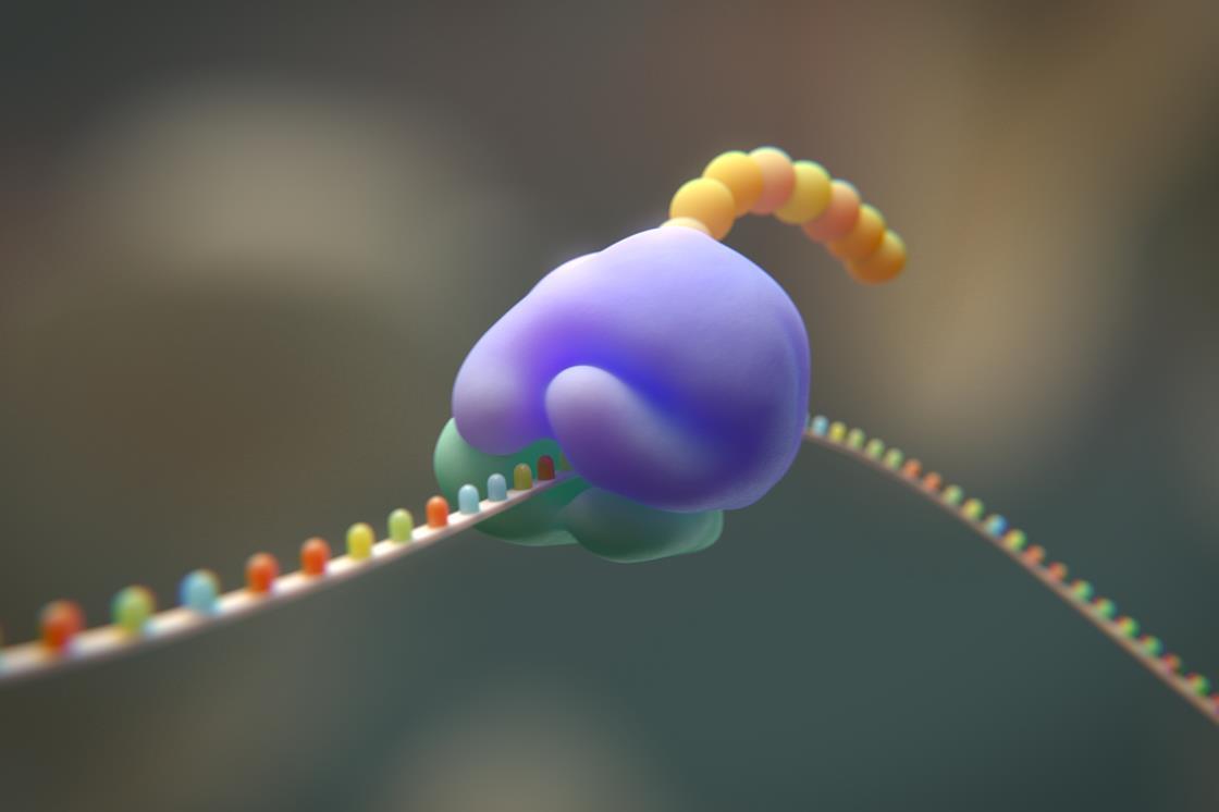 AlphaGenome & the RNA world hypothesis | Podcast | Chemistry World