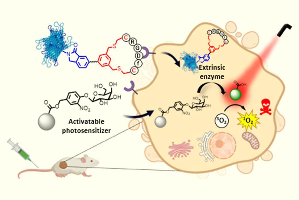 Lightactivated cancer treatment uses tumourtargeting enzymes to cut