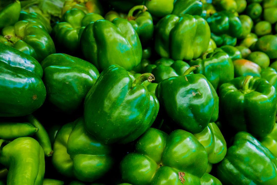 Geneedited crops and animals get the green light in England News