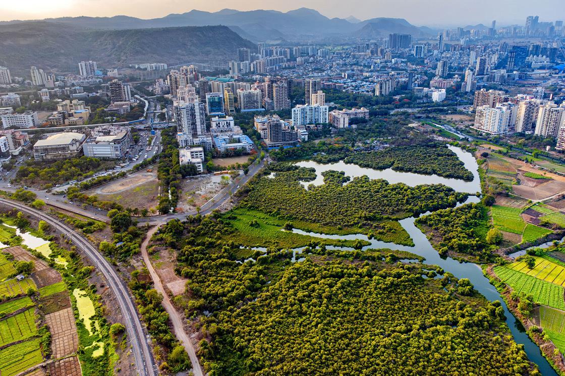 Chemistry's Crucial Role in Driving Global Net Zero Emissions
