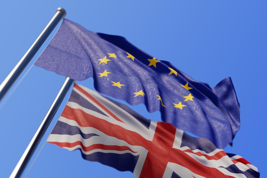 Rejection of Brexit deal causes alarm across science community | News | Chemistry World