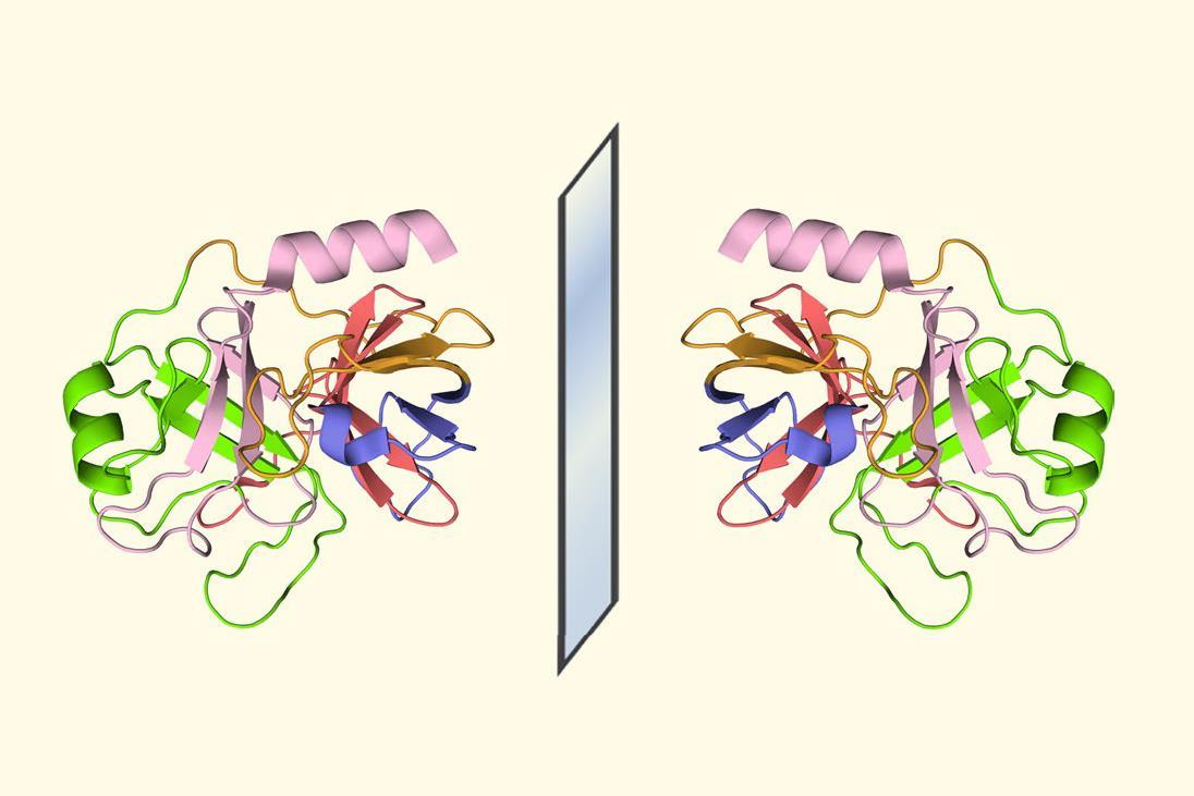 D-trypsin synthesis enables sequencing of mirror-image proteins ...