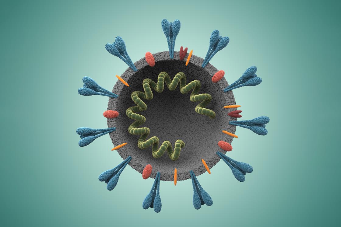 RNA vaccines are coronavirus frontrunners Business