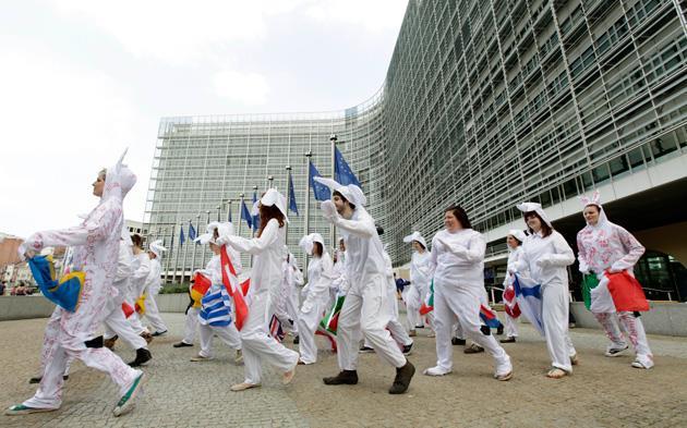 Advancing animal testing alternatives | Business | Chemistry World