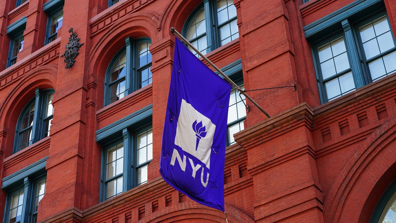 Eminent NYU chemist fired after students complain about taxing organic ...