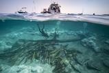 Half underwater shot of ship and Roman shipwreck