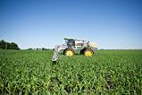 Corn crop sprayer
