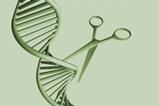 DNA editing