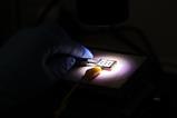 Perovskite