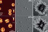 Three pairs of similar images three taken using microscopic techniques and three generated using AI