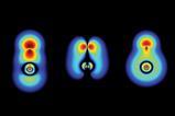 Electron densities