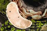 A digital artwork of a cut-away of a bean-shaped mitochondria with a highly folded layer inside. It is sitting inside a cell with other organelles around it.