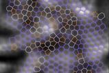 Graphene