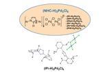 Chemical diagram showing the general formula for (NHC-H)₂Pd₂Cl₆ palladium complexes with a list of substituent variants, and two molecular models of (IPr-H)₂Pd₂Cl₆: one ball-and-stick and one wireframe representation.