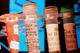 Sample tubes of nucleotides