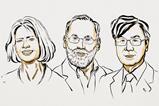 2025 Medicine Nobel Prize winners