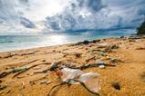 Plastic pollution