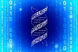 Binary DNA