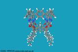 Image showing front 'vase' view of tubularenes molecule in 3D