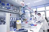 Scientists in the lab