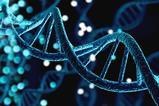 A digital illustration of DNA