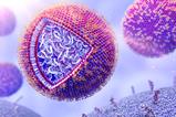 A digital artwork of a liposome containing mRNA as used in vaccines
