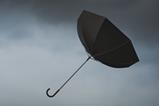 Inverted umbrella