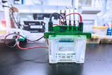 Photo of a Western blot analysis on a lab bench in a lab