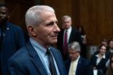 Anthony Fauci