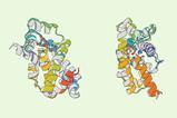 Structures of designed proteins