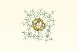 A 3d chemical structure of organic molecules around two rings of eight sulfurs.
