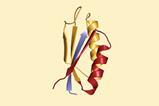 Enzyme