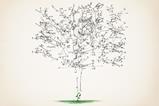 A young plant with mathematical formula forming a tree