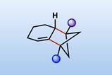 Skeletal structure of the diradicaloid coupling reaction product