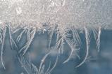 Frost on window