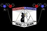 A cartoon of a cat in a box who is half dead on the antiaromatic molecule side and half alive on the aromatic molecule side