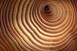 Wood texture