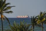 A tanker ship on the Strait of Hormuz in the ocean as seen from the shore where there are palm trees