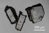 Three crystals with a scale showing they are about 300 to 500 micrometres across