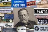 Louis Pasteur collage