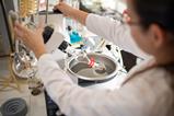Woman operating rotavap
