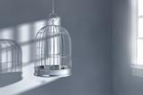 Cage