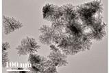 Transmission electron microscopy image of the new electrocatalyst