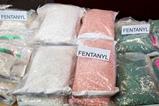 Bags of fentanyl pills from a drugs raid