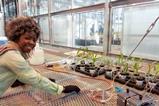 An image showing Eucharia O. Nwaichi at the Greenhouse at StockBridge School of Agriculture UMASS Amherst MA US
