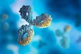A digital artwork of an antibody - a looped Y-shaped molecule