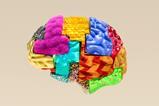 Brain made out of different textures