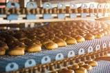 Cakes on automatic conveyor belt