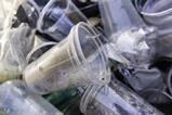 Plastic cups