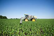 Corn crop sprayer
